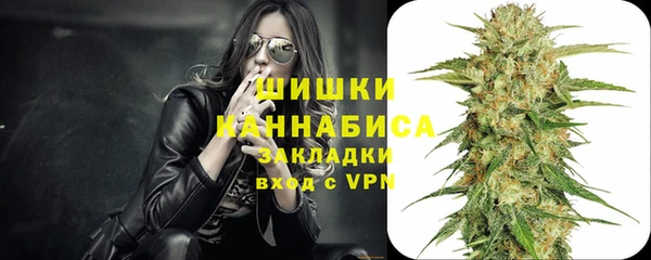 PSILOCYBIN Армянск