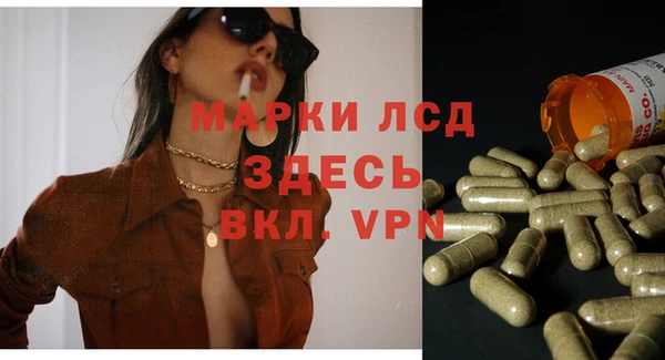 spice Аркадак