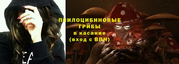 PSILOCYBIN Армянск