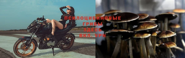 spice Аркадак