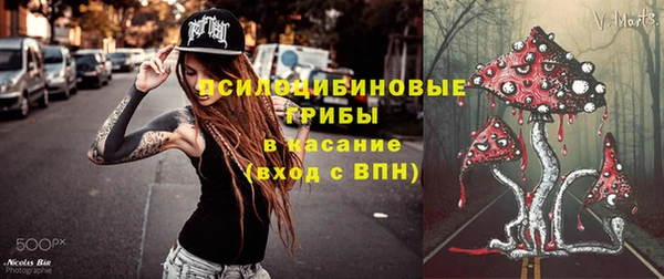 spice Аркадак