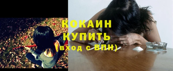 spice Аркадак